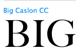 Bic Caslon Carter and Cone